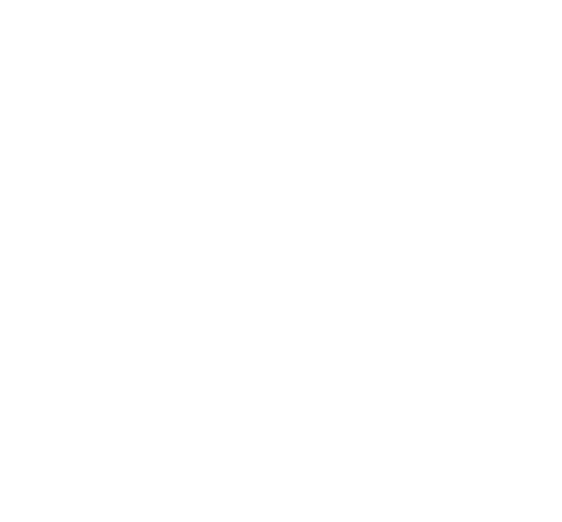 Lo novel